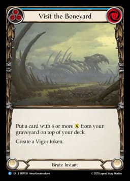 Visit the Boneyard