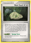 Root Fossil
