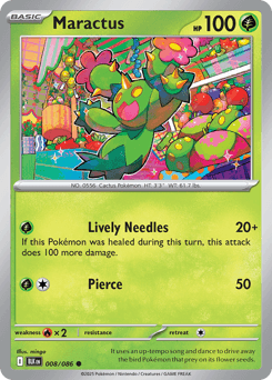 Maractus