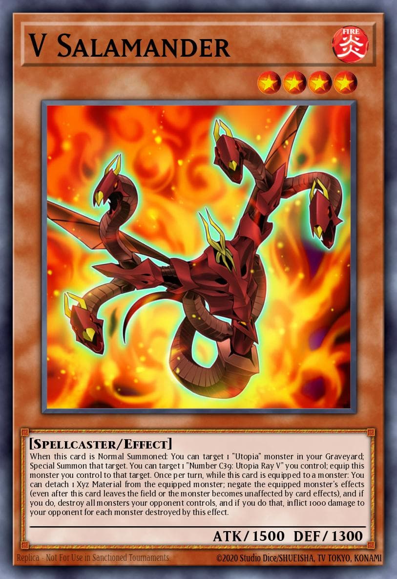 V Salamander