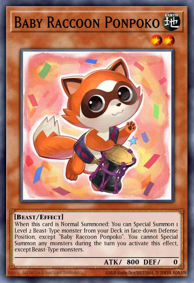 Baby Raccoon Ponpoko