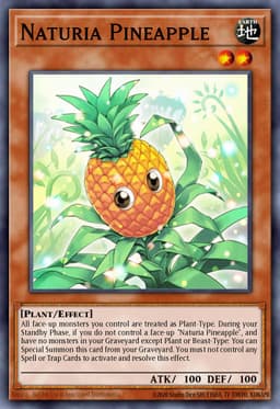 Naturia Pineapple