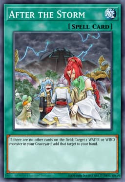 After the Storm