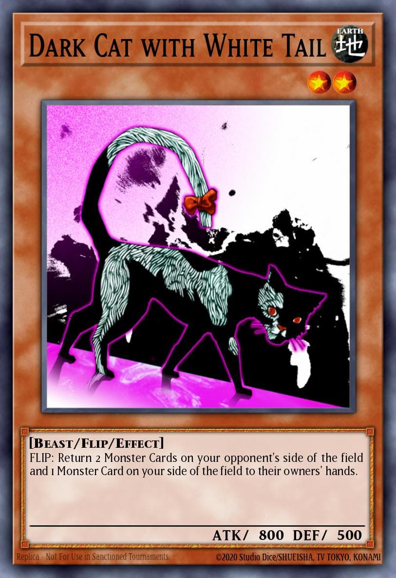 Dark Cat with White Tail