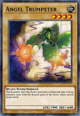 Angel Trumpeter